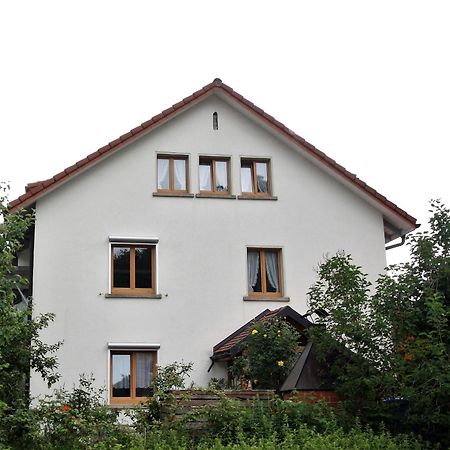 トートナウHaus Michlerアパートメント エクステリア 写真